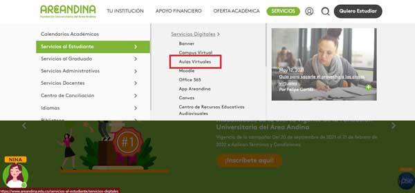 OPCION AULAS VIRTUALES AREANDINA