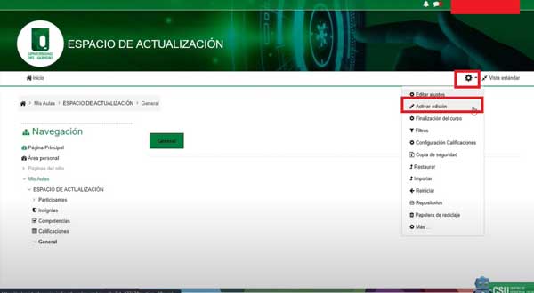 ACTIVAR EDICION CREAR CONSULTA EN MOODLE