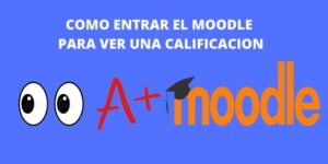 COMO ENTRAR EN EL MOODLE PARA VER UNA CALIFICACION