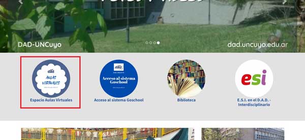 ESPACIO AULAS VIRTUALES DAD